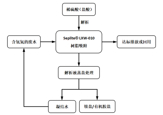 一種不花錢還掙錢的氨氮超標(biāo)水處理方法 一種不花錢還掙錢的氨氮超標(biāo)水處理方法