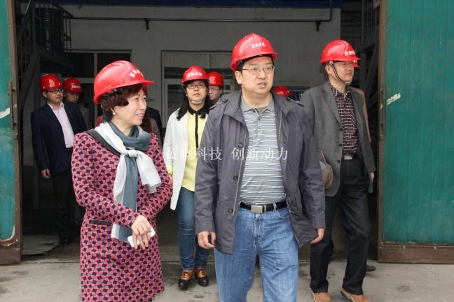 藍(lán)曉科技承擔(dān)“陜西省重大科技創(chuàng)新項(xiàng)目”通過(guò)驗(yàn)收 藍(lán)曉科技承擔(dān)“陜西省重大科技創(chuàng)新項(xiàng)目”通過(guò)驗(yàn)收