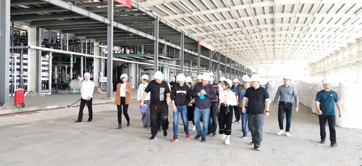 “藍曉科技鹽湖提鋰技術——走進錦泰項目”圓滿舉行 “藍曉科技鹽湖提鋰技術——走進錦泰項目”圓滿舉行